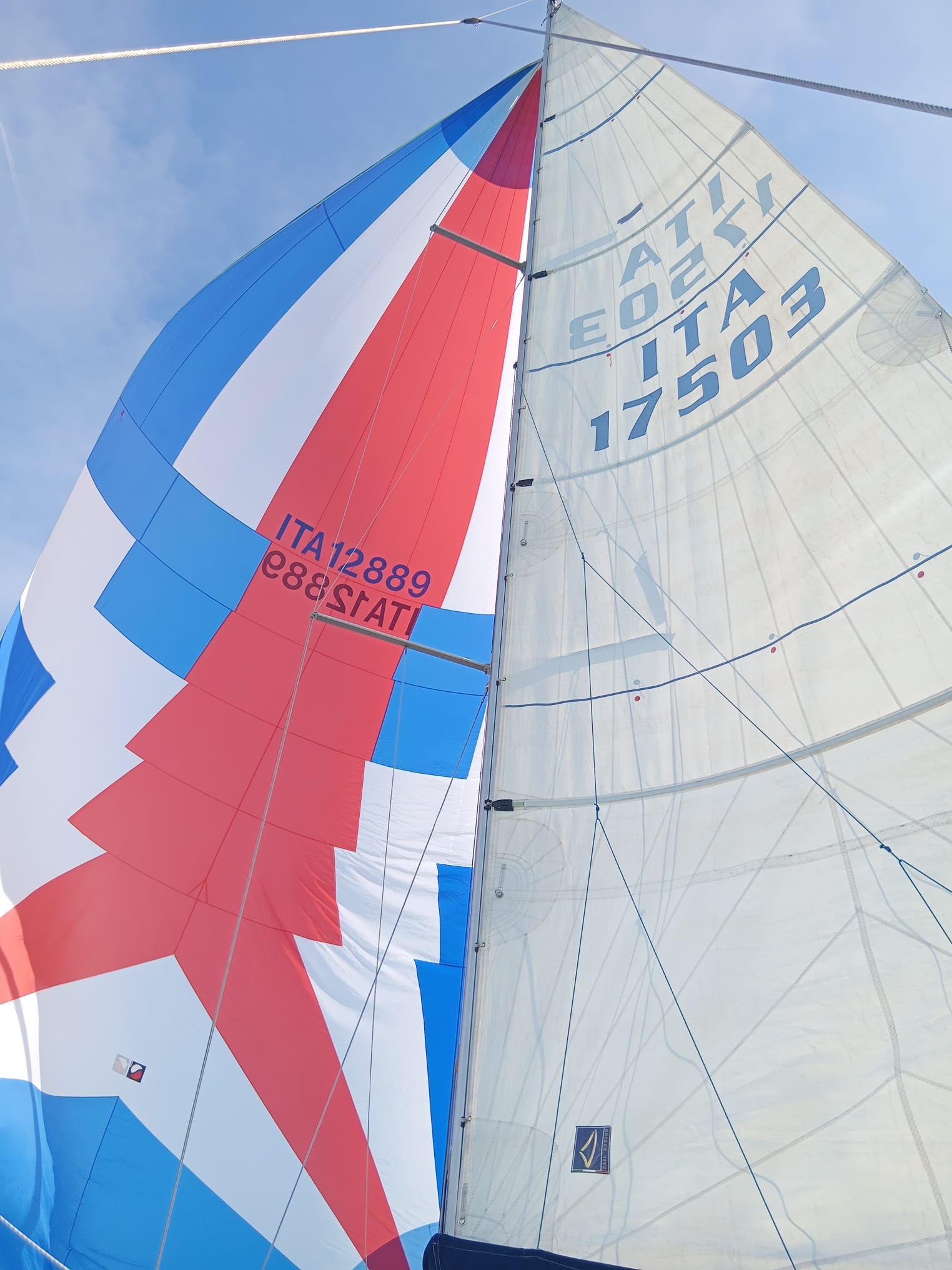 Spinnaker bianco, rosso e azzurro con numero ITA 12889 accanto alla randa bianca ITA 17503, visti dal basso contro il cielo